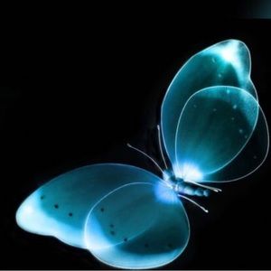 Meet your Posher, Wafaa